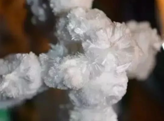 1699578367822241.png 4.png