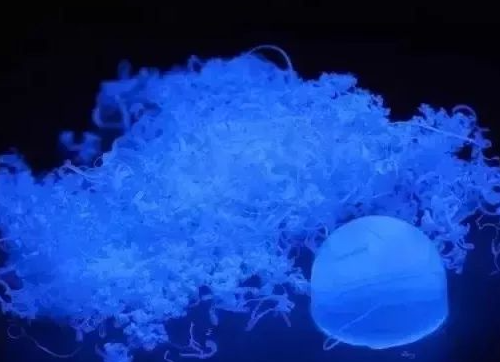 1699578380292713.png 5.png